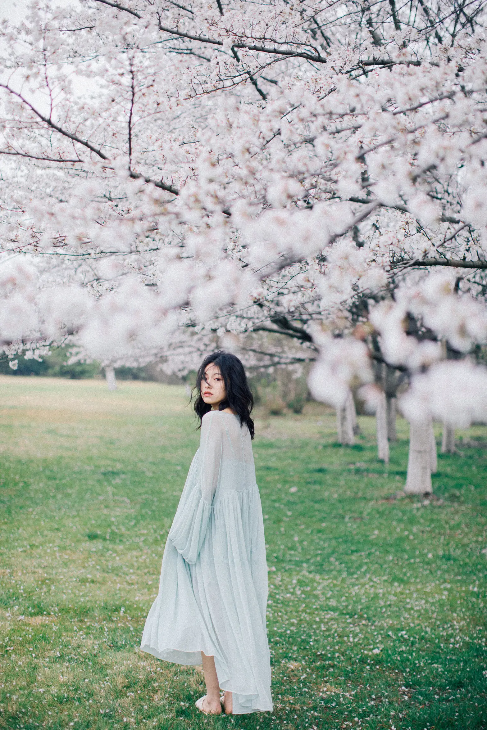 [YITUYU] 2022.05.27 Vol.1002 – Colorful Falling Cherry Blossoms September#[28P]-8